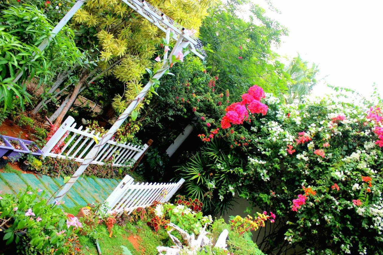 The Courtyard Villa 锡吉里亚 外观 照片